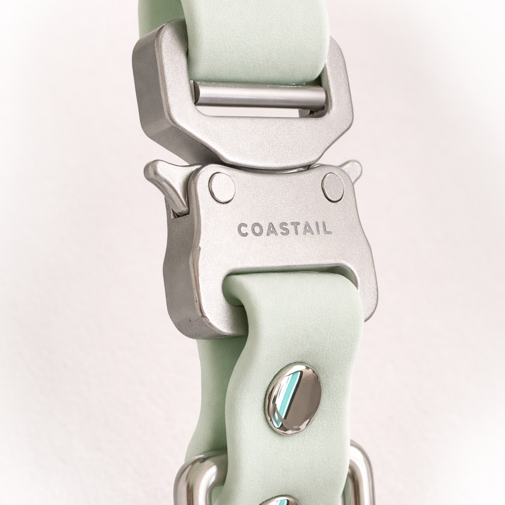 Clontarf Collar