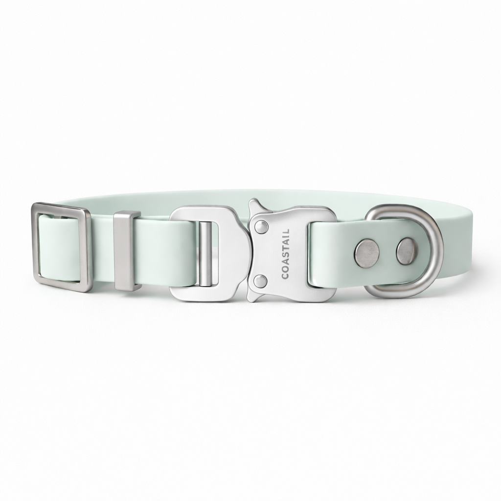 Clontarf Collar