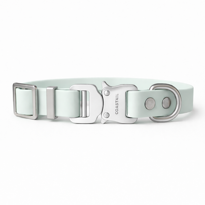 Clontarf Collar