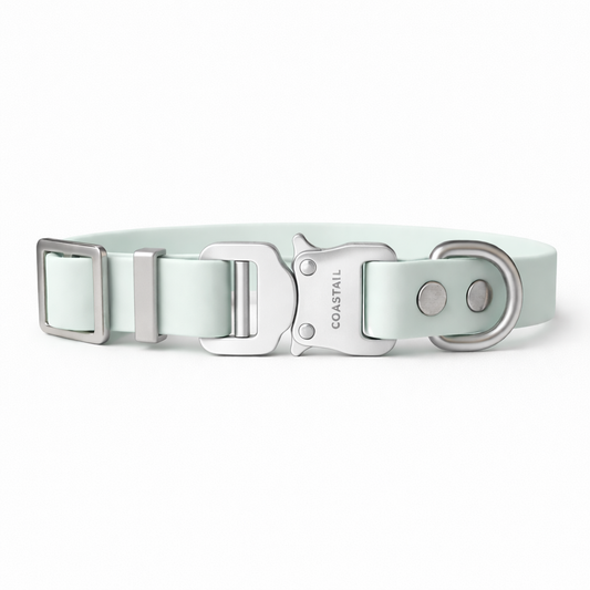 Clontarf Collar