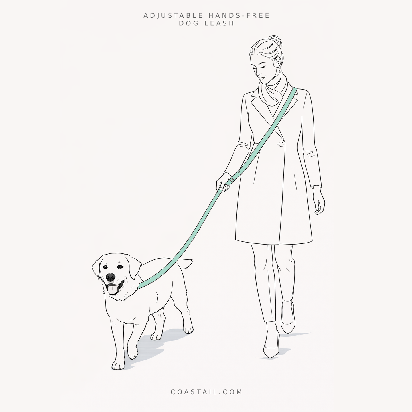 Clontarf Dog Walk Set