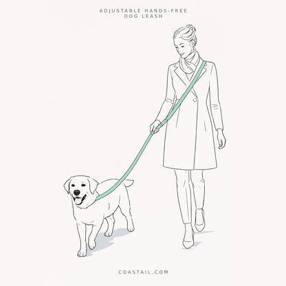 Clontarf Dog Walk Set